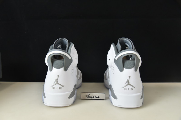 air jordan 6 "cool grey" ct8529-100